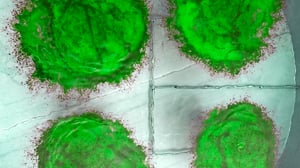 novid diffuser aeration system for stainless steel chemical and liquid fertilzer tanks-52