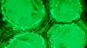 novid diffuser aeration system for stainless steel chemical and liquid fertilzer tanks-53