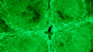 novid diffuser aeration system for stainless steel chemical and liquid fertilzer tanks-54